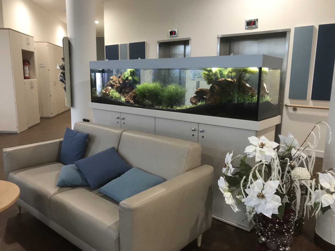 Großes bepflanztes Aquarium in einem öffentlichen Aufenthaltsbereich