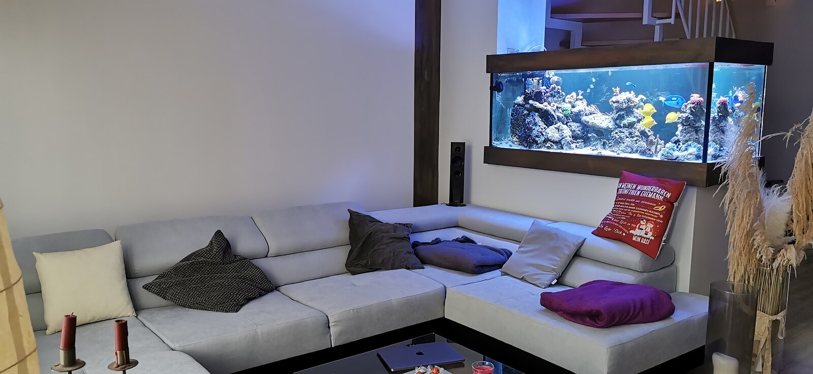 In die Wand integriertes Meerwasseraquarium über einer Wohnlandschaft