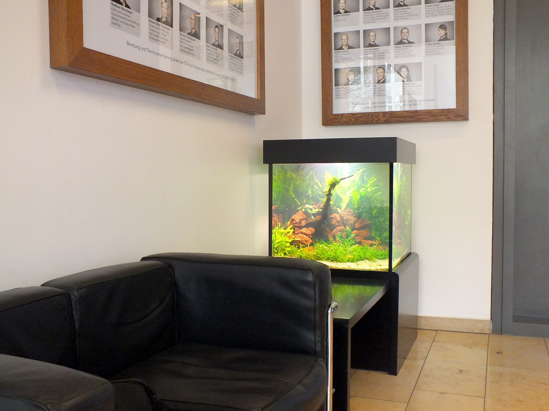 Kompaktes Aquarium in einer Sitzlounge
