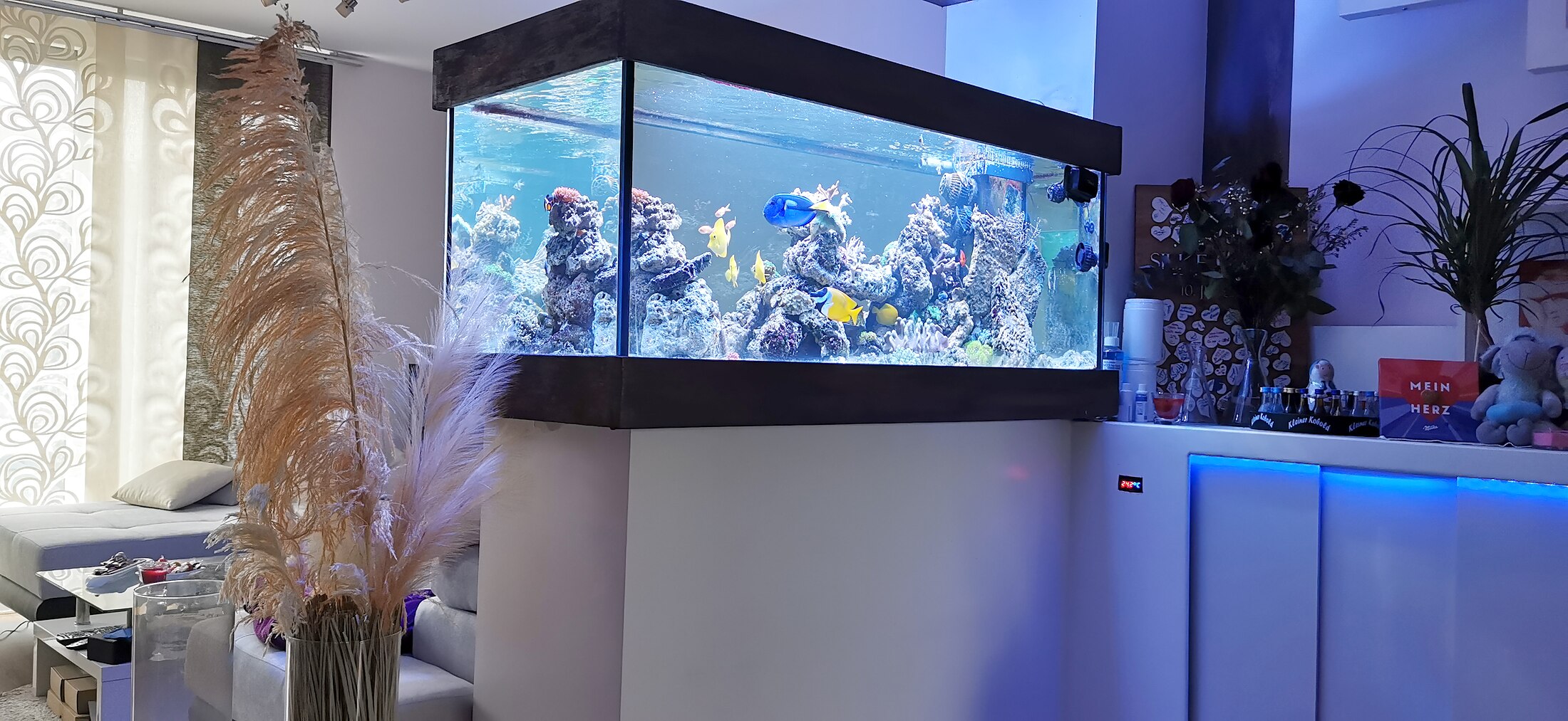 Meerwasseraquarium als Raumakzent neben einer Wohnraum-Bar