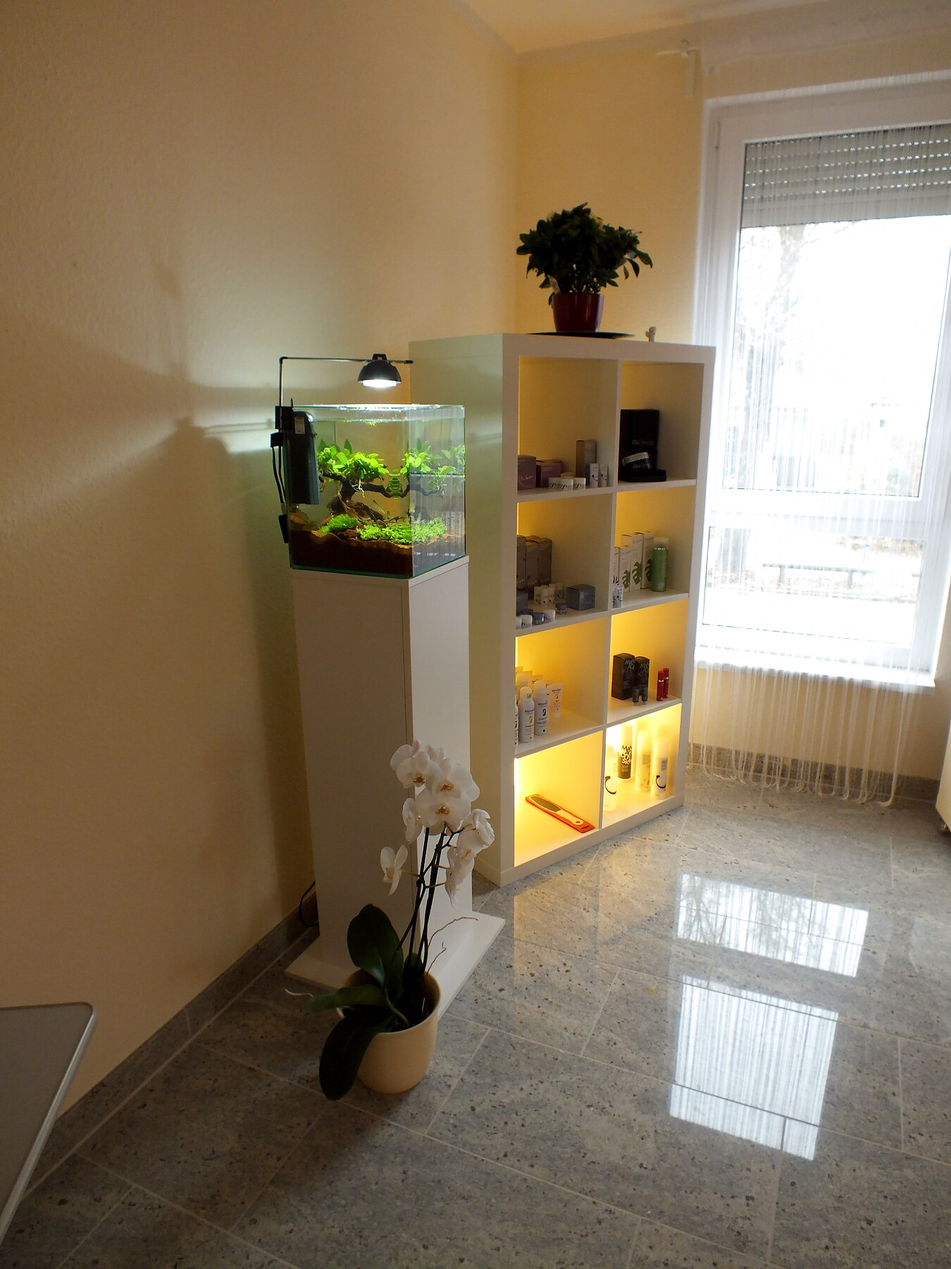 Kleines bepflanztes Aquarium auf Möbelpodest in einem Kosmetikstudio