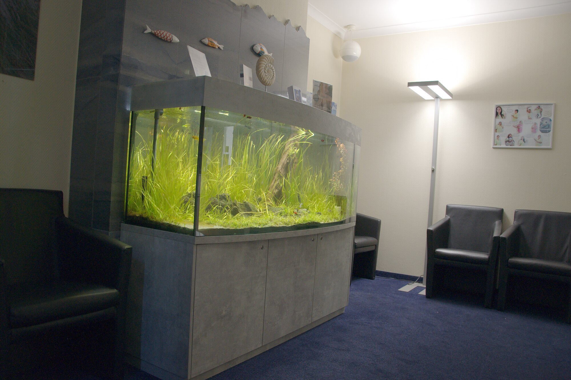 Aquarium in einer Praxislounge mit dunkler Wandverkleidung