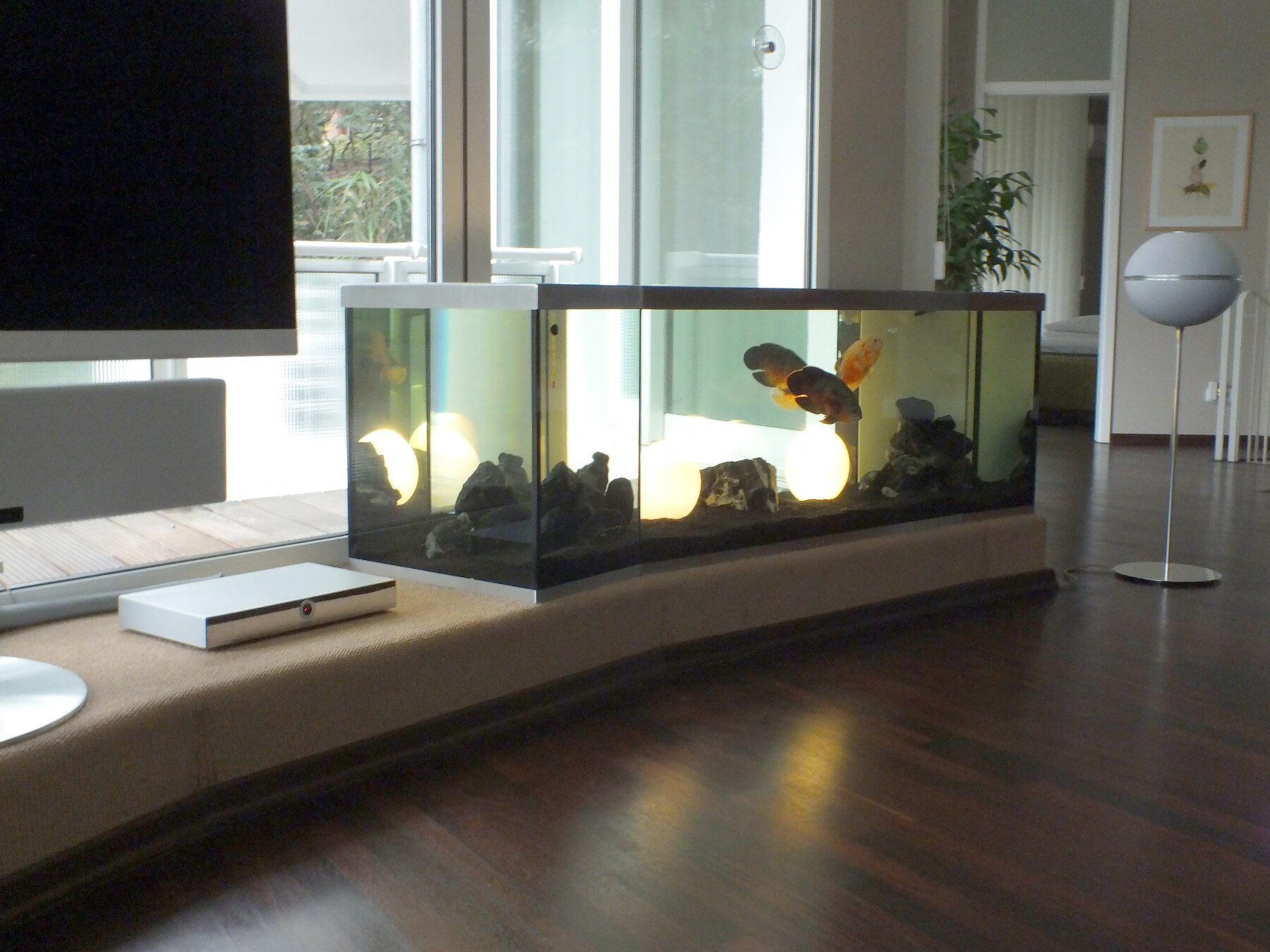 Aquarium als niedriger Raumteiler in einem modernen Wohnraum