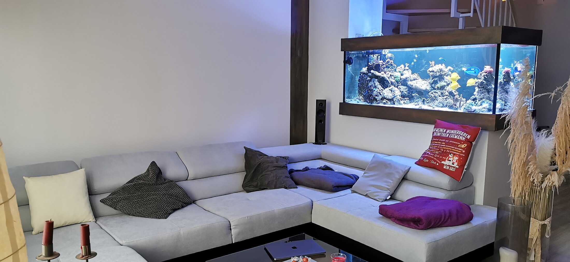 In die Wand integriertes Meerwasseraquarium über einer Wohnlandschaft